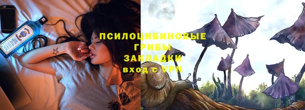 спиды Аркадак